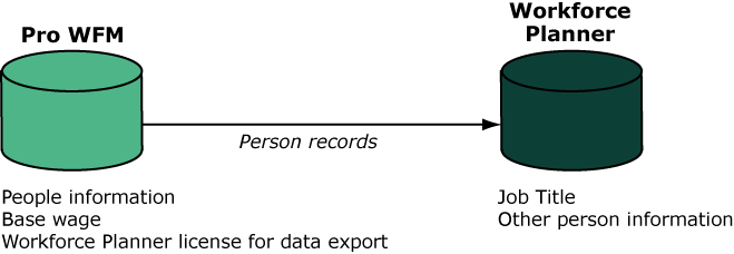 Workforce Planner Person Export overview